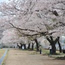 덕치초등학교 이미지