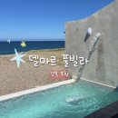 포항 수영장 펜션 | 바다 0초 컷 오션뷰 숙소 델마르 풀빌라 솔직 후기