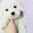 몽글몽글# 이미지