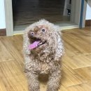 석전중학교 이미지