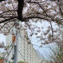 공영주차장 만덕2동사 이미지