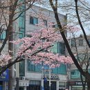 화정천동로 이미지