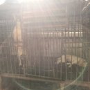 사연농장 이미지