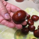 상아농장2 이미지