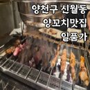 서울우유신월동(주) | 양천구 신월동 양꼬치 맛집 일품가 내돈내산 재방문 후기