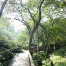 제이드가든 오토캠핑장 이미지