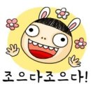 제이와이코리아