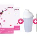 보움 이미지