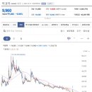 오에프티 Daum카페