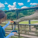 24시 코끼리동물병원 이미지