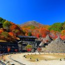 동수원우체국 앞 이미지