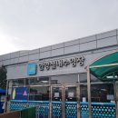 안양종합운동장 내 | 안양 종합운동장 수영장 주말 자유수영 후기