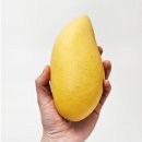 (주)망고인터내셔널 쇼핑하우