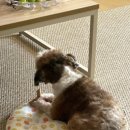 조갑호의원 이미지