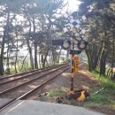 용해민박 이미지