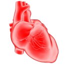 대정동물병원 이미지