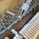 청주성모병원 이미지