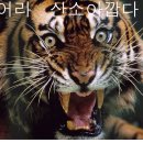 숙 - 사상구 | 숙