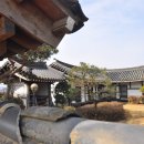 슬로시티삼지내마을 Daum카페