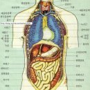 [일반] 마른기침은 이미지