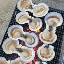 다이버회수산 이미지