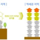 10년만의 &#39;미아리텍사스촌&#39; 개발에 주민들 &#39;결사반대&#39;..왜? 이미지