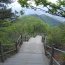 셀리공인중개사사무소 이미지