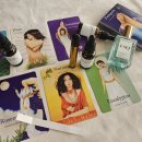 아로마 힐링 타로 상담 이미지