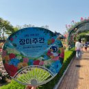 장미 | 광주 조선대학교 장미축제 다녀온 후기, 충장로와 5·18민주광장까지 함께 걸은 5월 하루