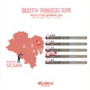 오렌즈 울산매곡점 신라안경 | [2020 엘리TV] 울산 엘리베이터 광고 사례 <신라 안경> 편