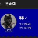 알뜰 | 네이버 펫 바우처 알뜰쇼핑 후기