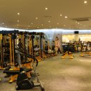 이지피티스튜디오 이미지