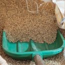 현미농장 이미지