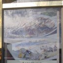 풍성한 집 이미지