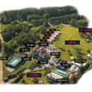 진이애견 이미지