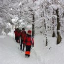 관음사 가는길 이미지