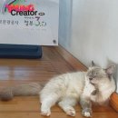 풍경호스텔 이미지