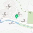 헬로우버디 그루밍센터 분당점 이미지