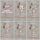 토요 성인발레 중급 이미지
