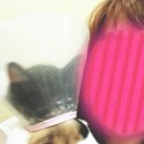 서신동물병원 이미지