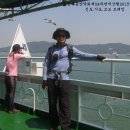 도신육교