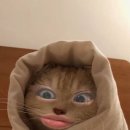 정빈농장 이미지