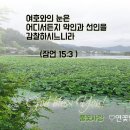 잠언15장 말씀카드 성구이미지 꽃사진에성경말씀 이미지