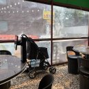 애견마을 이미지