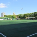 수원종합운동장주경기장 네이버블로그