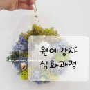 꽃사로움힐링원예