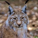 일성태권도 이미지