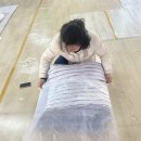 풍성이불집 이미지