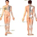 황제쑥뜸 이미지