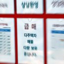 강한부동산공인중개사사무소 이미지